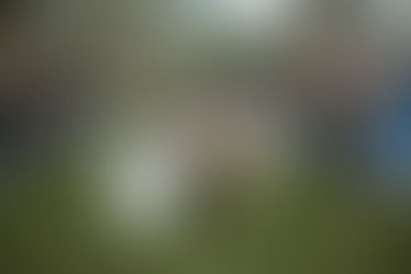 The Art of Cinematic Wedding Films | Wedding Film Production in Tallahassee