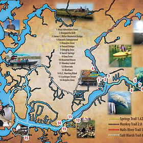 Scalloping Charters | Kayak Rentals | Fishing | Homosassa & Crystal