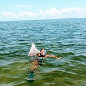 scallop 3.jpg