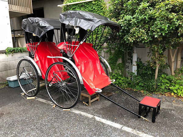 IMG_0461.jpeg
