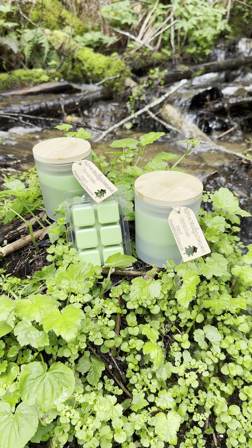 Thumbnail: “Eco-friendly wax melts and candle tin from SteffsSimplicities arranged on moss with eucalyptus sprigs”