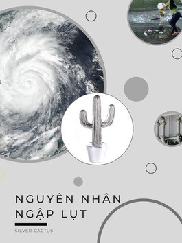 NGUYÊN NHÂN XẢY RA NGẬP LỤT TẠI TPHCM🤔🤔