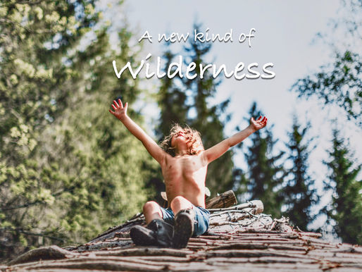 EPISODE # 183 - A NEW KIND OF WILDERNESS
