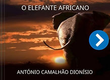 elefante africano.jpg