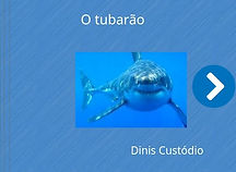tubarao branco.jpg