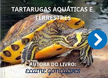 tartarugas aquaticas terrestres.jpg
