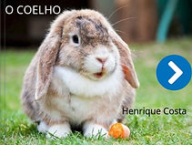 coelho.jpg