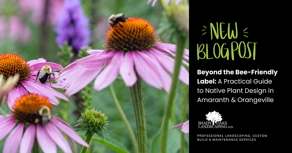 Beyond the Bee-Friendly Label: A Practical Guide to Native Plant Design in Amaranth & Orangeville