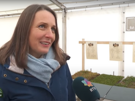 Befőttesüvegek a talajtudomány szolgálatában – riport a Vajdasági TV-ben