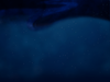 Slice 2-min.png