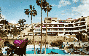 apartment-fo-sale-in-Parque-Albatros,-Te