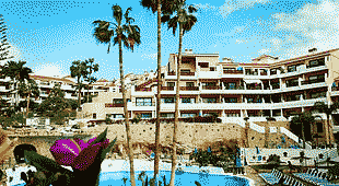 Apartments-in-Tenerife.gif