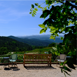 À la découverte du Domaine La Plume