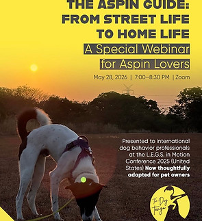 aspin guide webinar.jpg