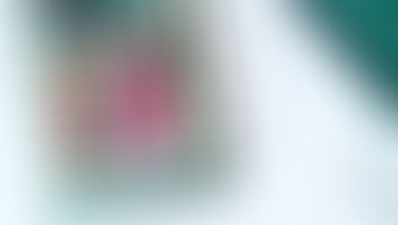 The Historical Chronicles of Elinor Sturgeon and Last Human Colony