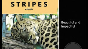 Spots Before Stripes