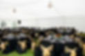 AdobeStock_38982939.jpeg