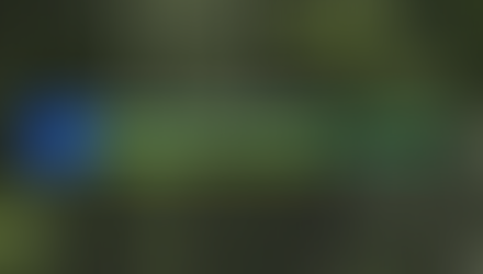 Пикник Афиши