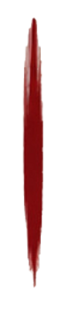 Decorative red graphic for Shuhari Dojo