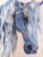 paintedclothing -horse