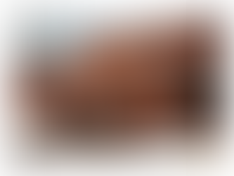 Thunder Bay Police Service launches an upgraded online reporting system with Rubicon.