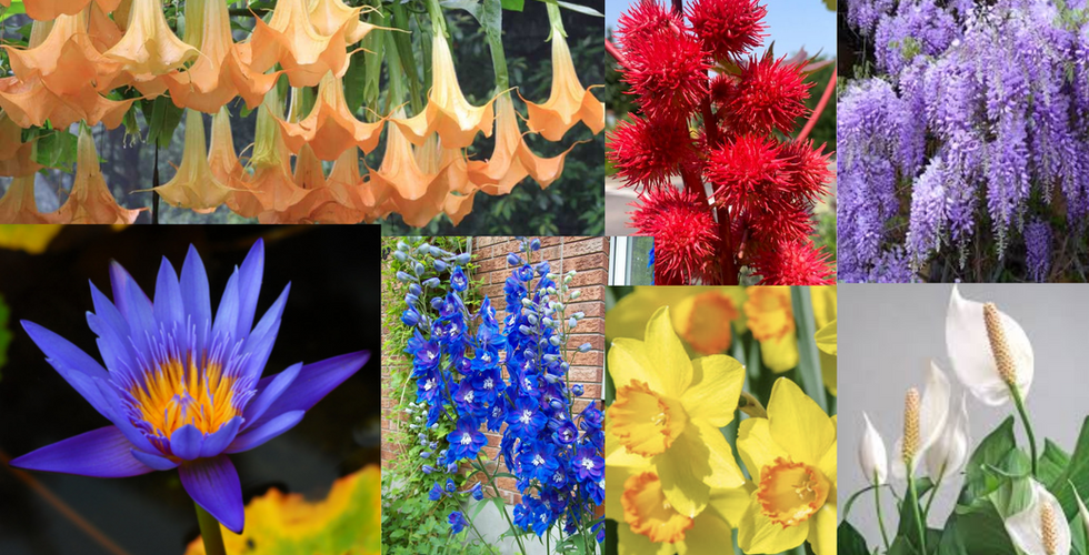 Stained Glass references