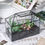 Thumbnail: Modern Tabletop Glass Terrarium