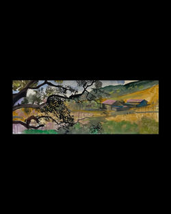 Farm and Coastal Live Oak, 11x30in, water-based paints on paper