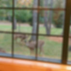 image1 (8)