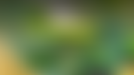 SIF vs Mutual Funds vs PMS vs AIF: Which is Best for You?