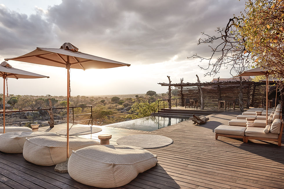 Mwiba Lodge - Swimming Pool.jpg