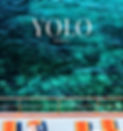 YOLO10_cover-v2_edited.jpg