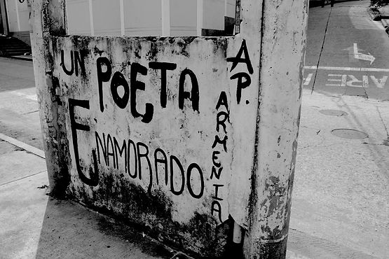 accion poetica, uniquindio, armenia, quindio