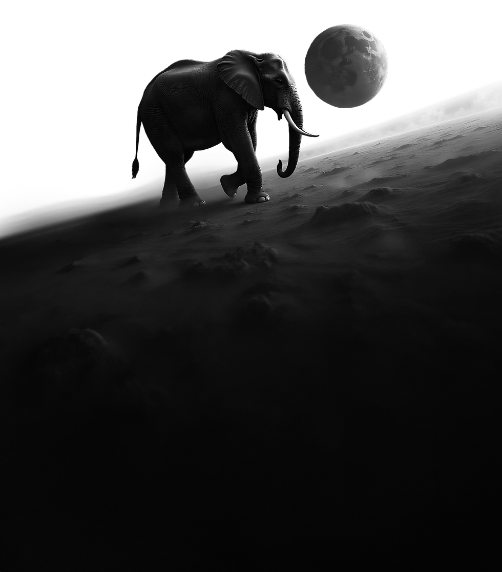 ele.png