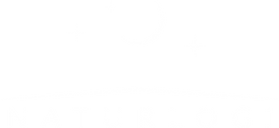 logo-white.png
