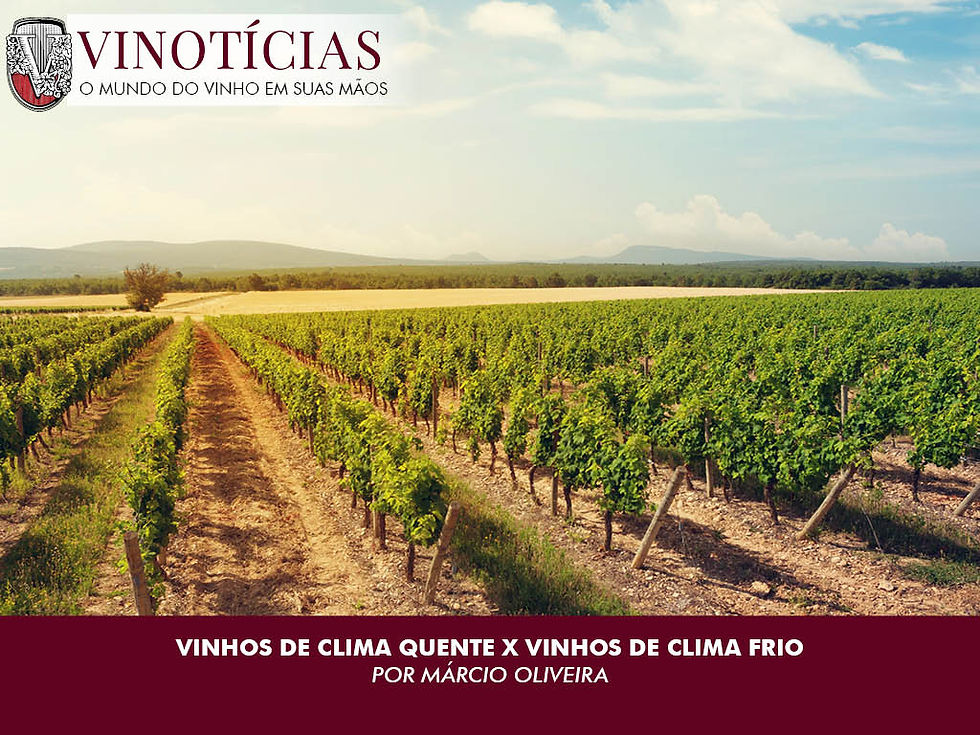 VINHOS DE CLIMA QUENTE X VINHOS DE CLIMA FRIO