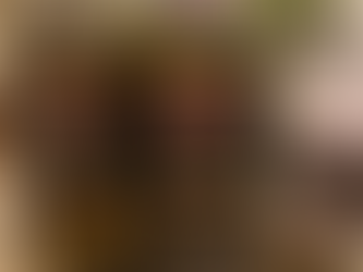 DON MAXIMIANO 2006 E 2008 – VALLE DE ACONCAGUA – CHILE