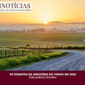 OS DESAFIOS DA INDUSTRIA DO VINHO EM 2026
