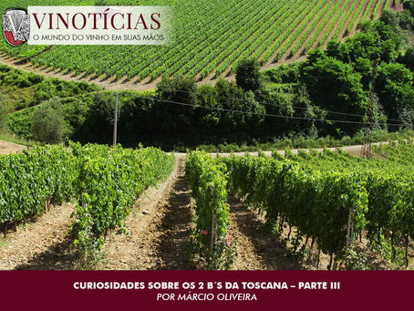 “CURIOSIDADES SOBRE OS VINHOS 2 B´s DA TOSCANA – PARTE III”