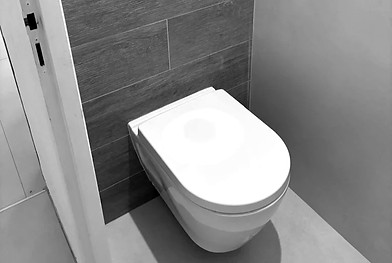 plomberie-chauveau-toillettes-WC-renovation-toilettes-installation-WC-lyon-meyzieu-jonage_
