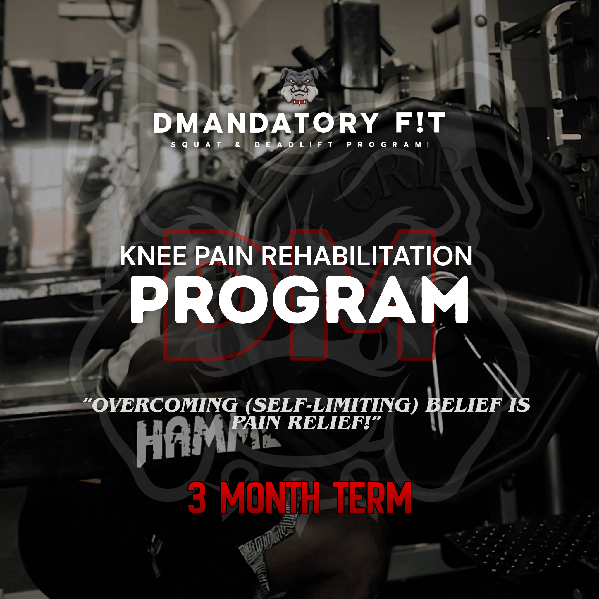 KNEE PAIN REHABILITATION