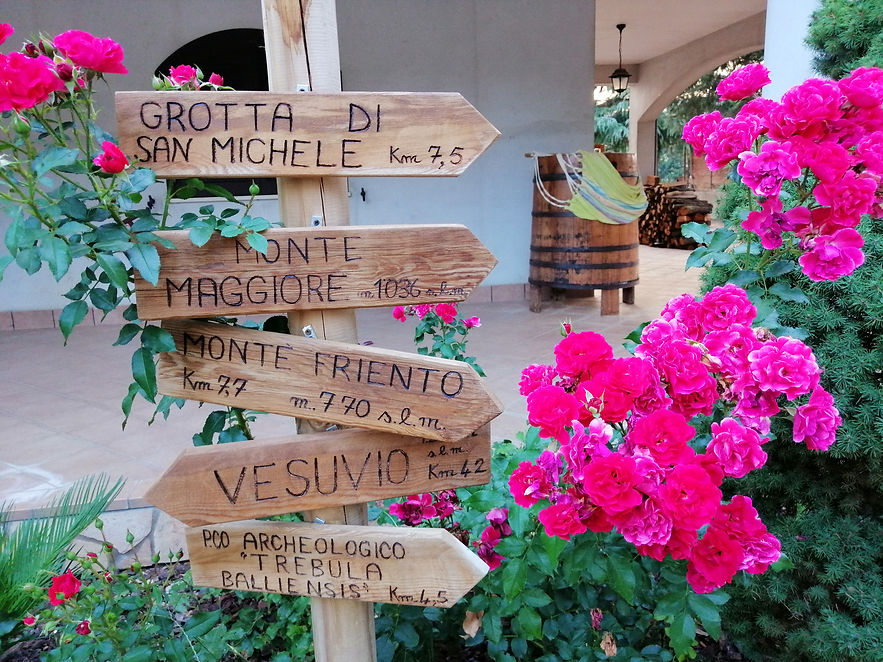 Cosa dicono di noi i nostri ospiti