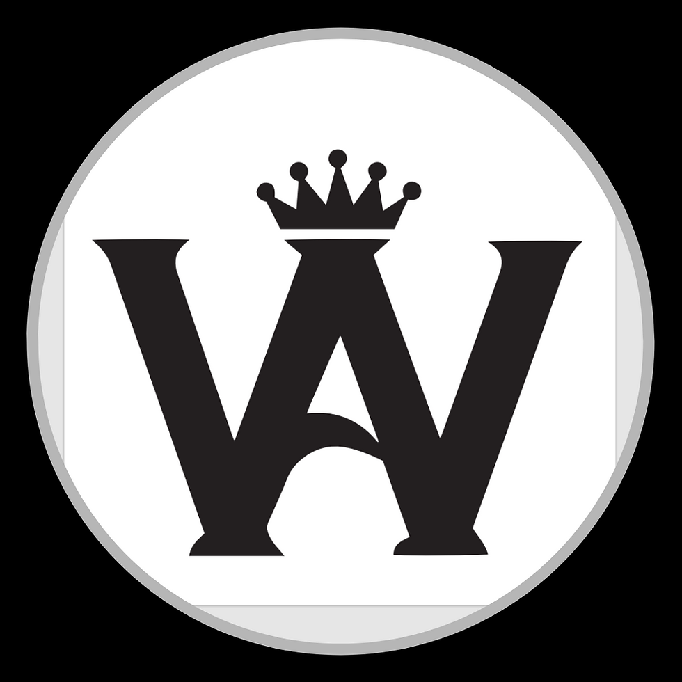 APPLE WANG BOUTIQUE - portray interiors - interior design - decor - fit out