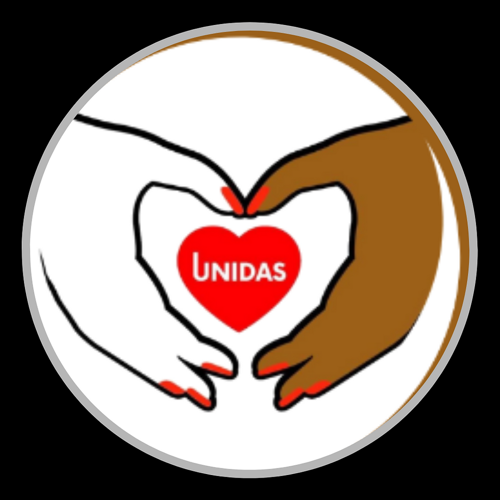 UNIDAS SALON - portray interiors - interior design - decor - fit out