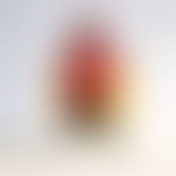 Fox Cities Kidz Expo