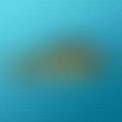 walleye