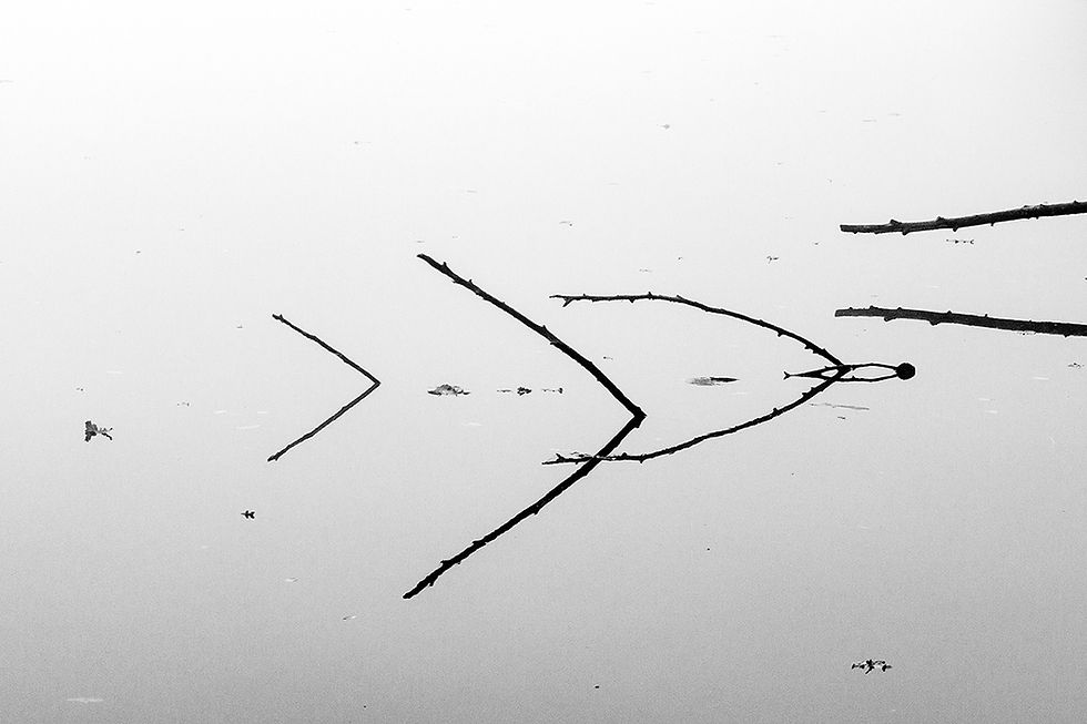 202203DUPRER_02