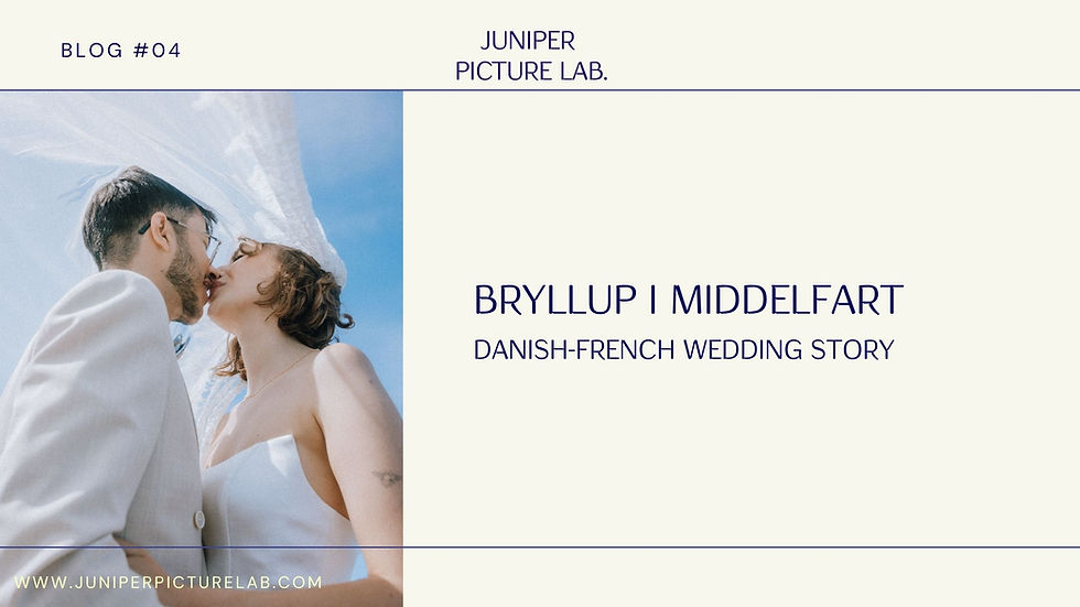 Bryllupsfotograf Middelfart – brudepar kysser under slør ved dansk-fransk bryllup på Fyn