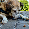 20220804_110806.jpg