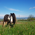 20190427_095308.jpg